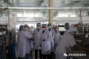 新城区市场监督管理局开展食品生产厂专项检查，筑牢餐饮安全防线